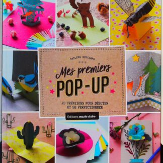 Mes premiers pop-up - 20 Créations Pour Débuter Et Se Perfectionner