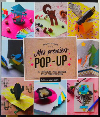 Mes premiers pop-up - 20 Créations Pour Débuter Et Se Perfectionner