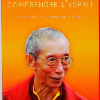 Comment comprendre l'esprit