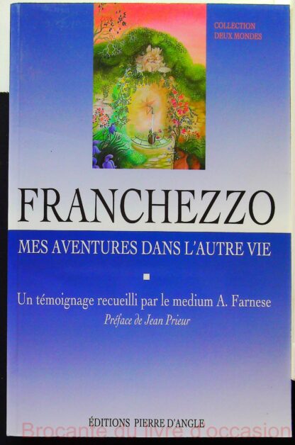 Franchezzo : Mes aventures dans l'autre vie-