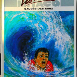 Les Castors Sauves Des Eaux