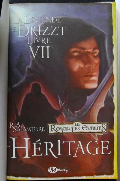 La Légende de Drizzt, Tome 7 L'Héritage