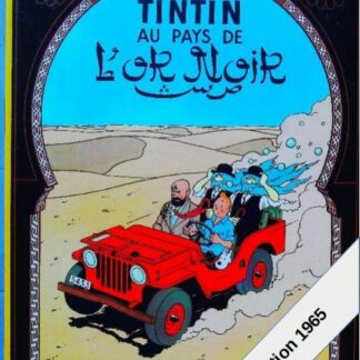 Les aventures de Tintin -Tintin au pays de l'or noir