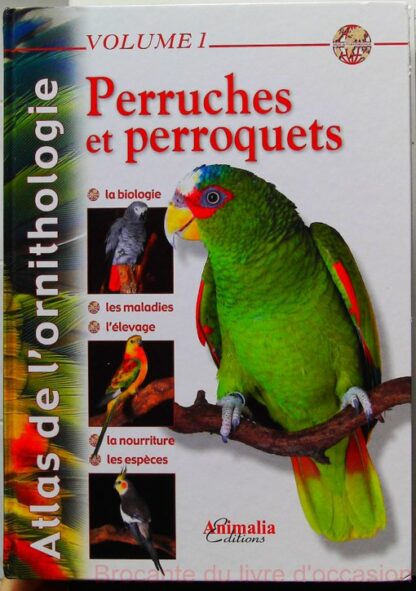 Perruches Et Perroquets-