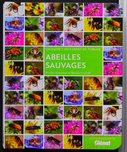 Abeilles sauvages