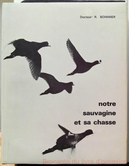 Notre sauvagine et sa chasse-