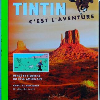 Tintin - C'est l'aventure 4