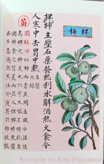 La médecine chinoise par les plantes – Image 6