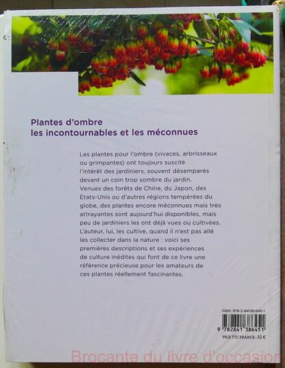 Les Nouvelles plantes d'ombre pour le jardin – Image 3