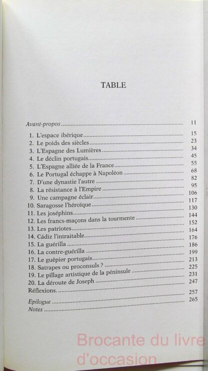 Napoléon et la guerre d'Espagne : 1808-1814 – Image 4