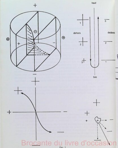 Physique de l'acupuncture – Image 5