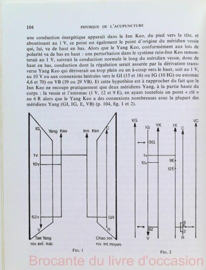 Physique de l'acupuncture – Image 6