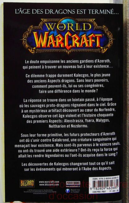 World of Warcraft - L'aube des aspects – Image 3