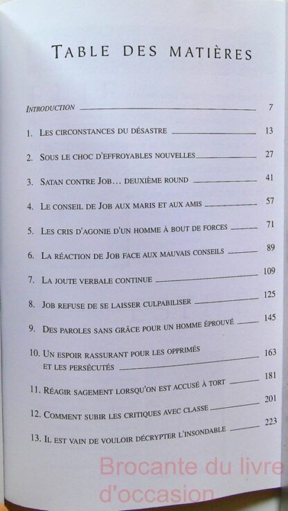 Job, un homme à l'endurance héroique – Image 4