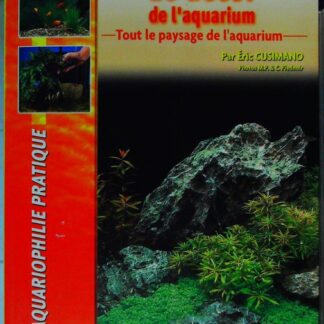 Le décor de l'aquarium