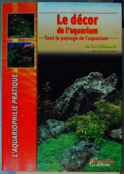 Le décor de l'aquarium