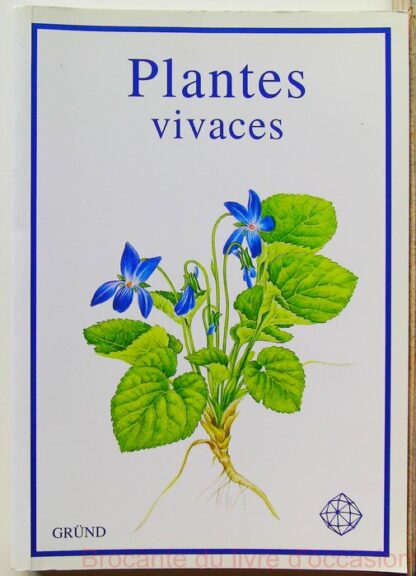 Plantes vivaces