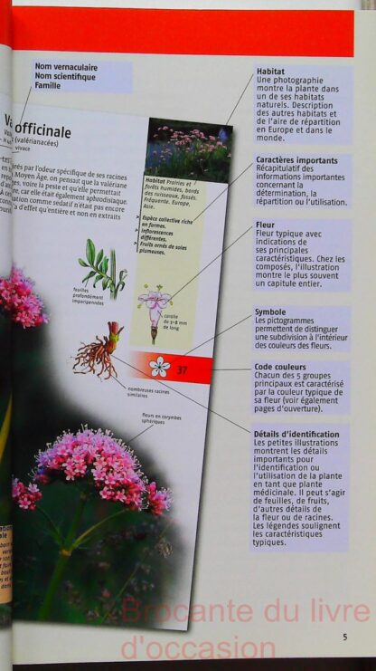 350 Plantes Médicinales – Image 6