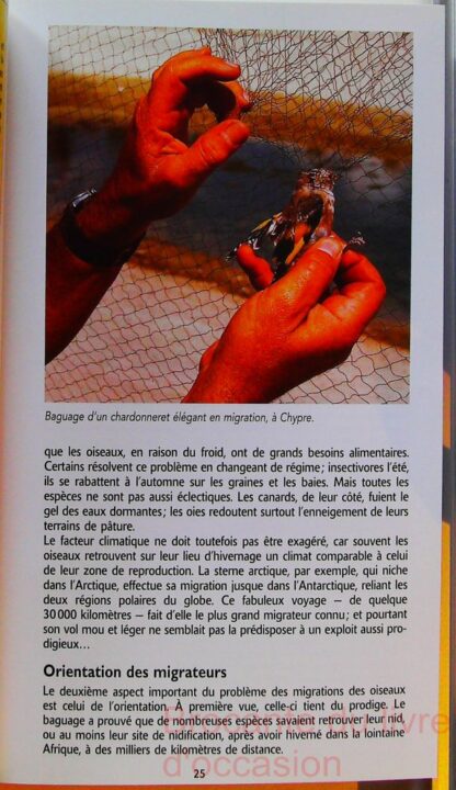 Guide Vert Des Oiseaux De France – Image 5