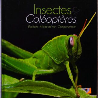 Insectes et coléoptères