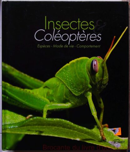 Insectes et coléoptères