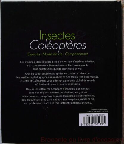 Insectes et coléoptères – Image 3