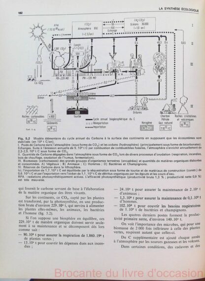 La synthese ecologique – Image 10