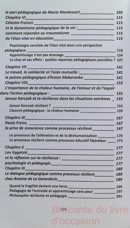 Pédagogie et résilience – Image 5