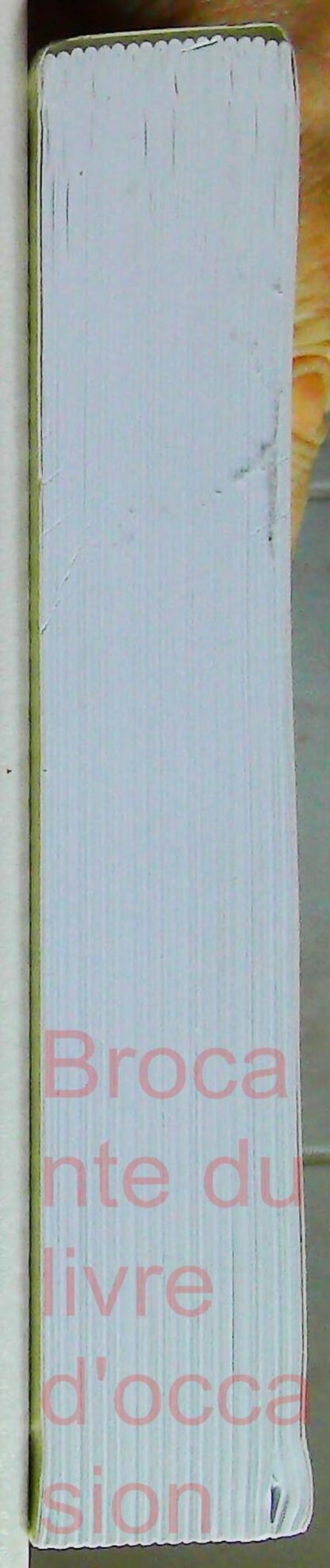 Histoire de la Bosnie-Herzégovine - Faits et controverses – Image 7