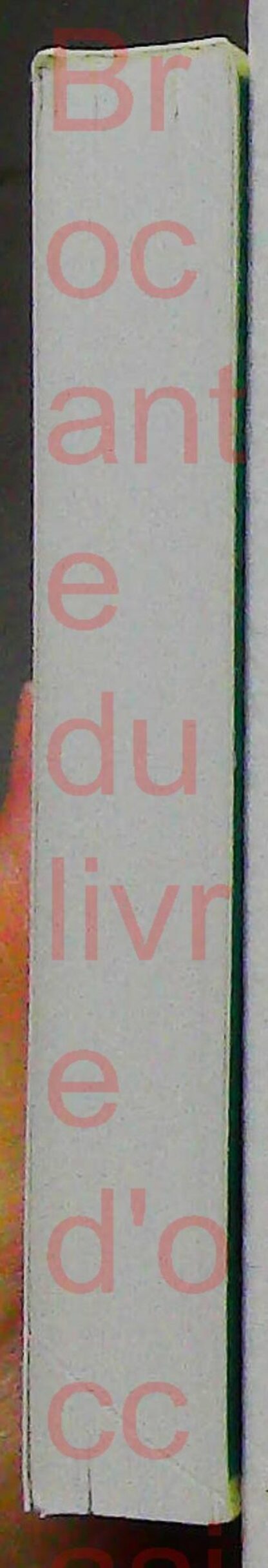 Loup Ardent Tomes de 1 à 4  Un livre dont vou etes le héros – Image 24