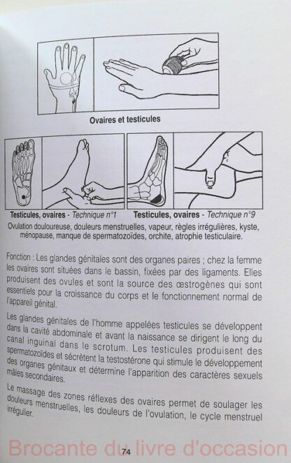 Massage reflexe des mains et des pieds – Image 11