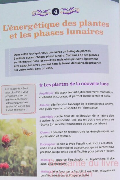 Recettes de beauté magiques - Créez votre rituel de beauté en harmonie avec les cycles lunaires – Image 6