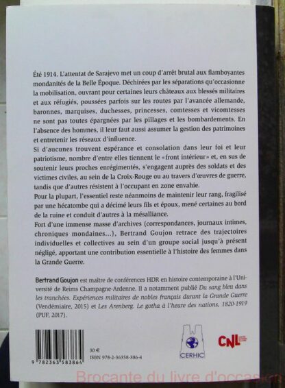 Je maintiendrai - Femmes de l'aristocratie dans la grande gu – Image 3