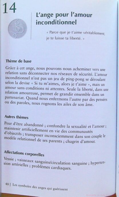 49 Clés Pour Accéder Au Monde Des Anges - Symboles Des Anges Guérisseurs-manque la carte 9 – Image 14