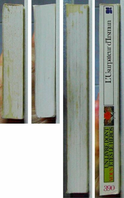 L'Usurpateur d'Irsmun – Image 4