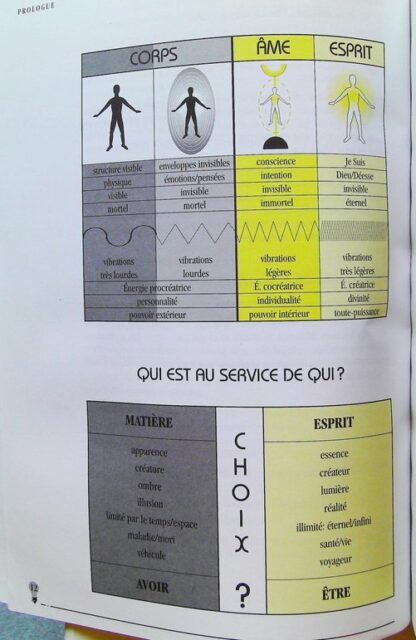 La Mafia Medicale. Comment S'En Sortir Et Retrouver Sante Et Prosperite – Image 10