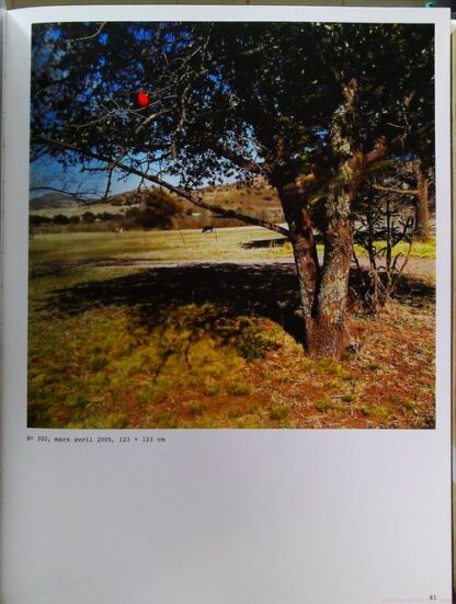 L'automne du paradis - Jean-Luc Mylayne – Image 7
