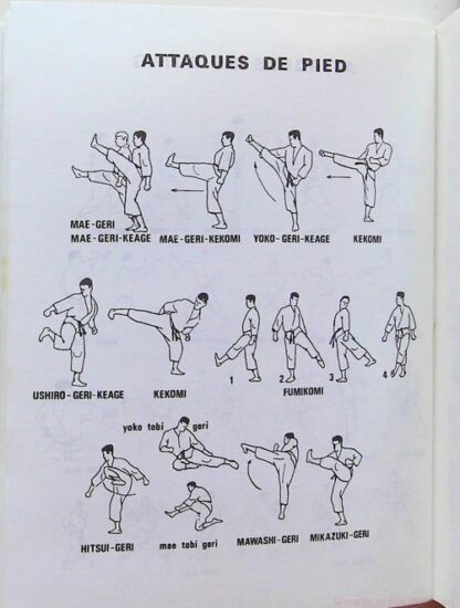 Le Memento Des Arts Martiaux. Judo Karate. Aikido Kendo – Image 7