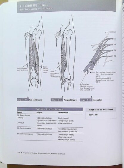 Le bilan musculaire de Daniels et Worthingham – Image 7
