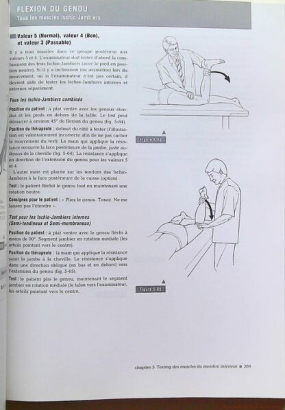 Le bilan musculaire de Daniels et Worthingham – Image 8