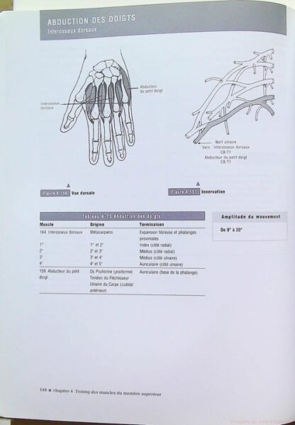 Le bilan musculaire de Daniels et Worthingham – Image 10