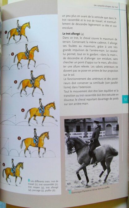 Le travail au pas et au trot – Image 6