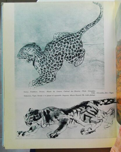 Les animaux - un grand thème de L'art. – Image 7