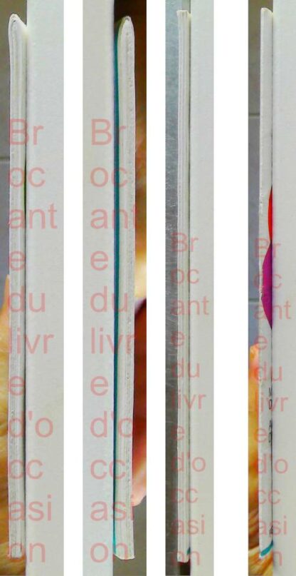 Lot de 3 Au fil des mots cp Livret 1,2 et 3 – Image 2