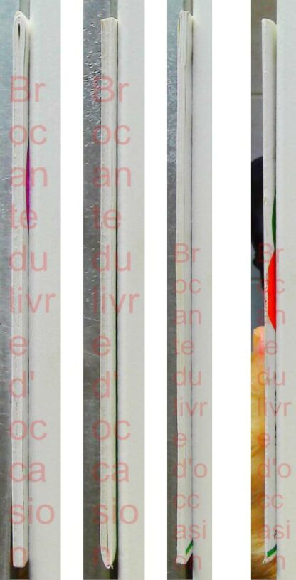 Lot de 3 Au fil des mots cp Livret 1,2 et 3 – Image 6