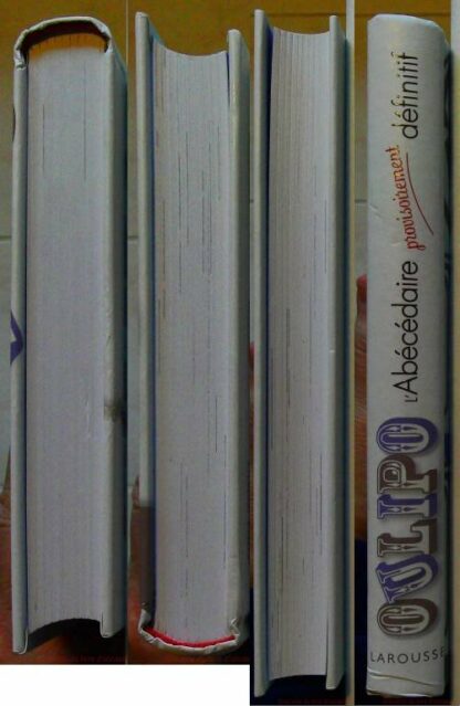 OULIPO L'Abécédaire provisoirement définitif – Image 10