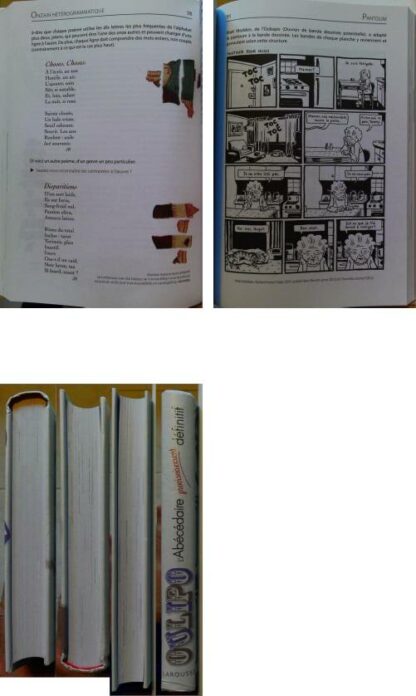 OULIPO L'Abécédaire provisoirement définitif – Image 3