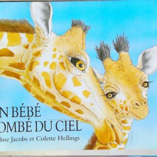 Un bébé tombé du ciel