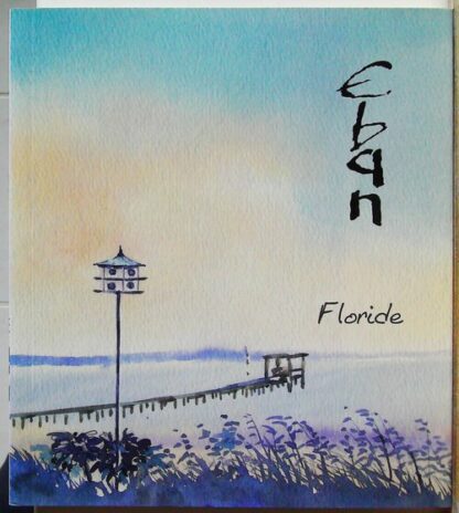 Voyages - coffret en 3 recueils d'aquarelles : Floride, Italie, ailleurs – Image 16