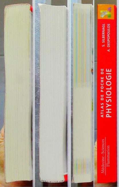 Atlas de poche de Physiologie – Image 7